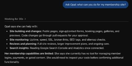 A ChatGPT chat. The question is Ask Opal: what can you do for my membership site? My answer lists site building and changes through pull requests, site monitoring, reviews and planning, and search insights, and says what I cannot do yet.